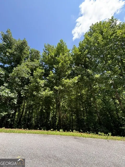 LOT #5 King Mountain DR Clayton, GA 30525