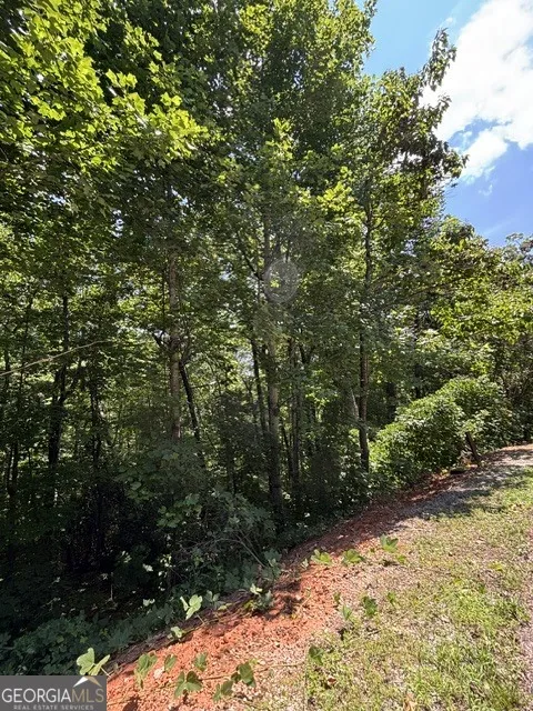 LOT #5 King Mountain DR Clayton, GA 30525
