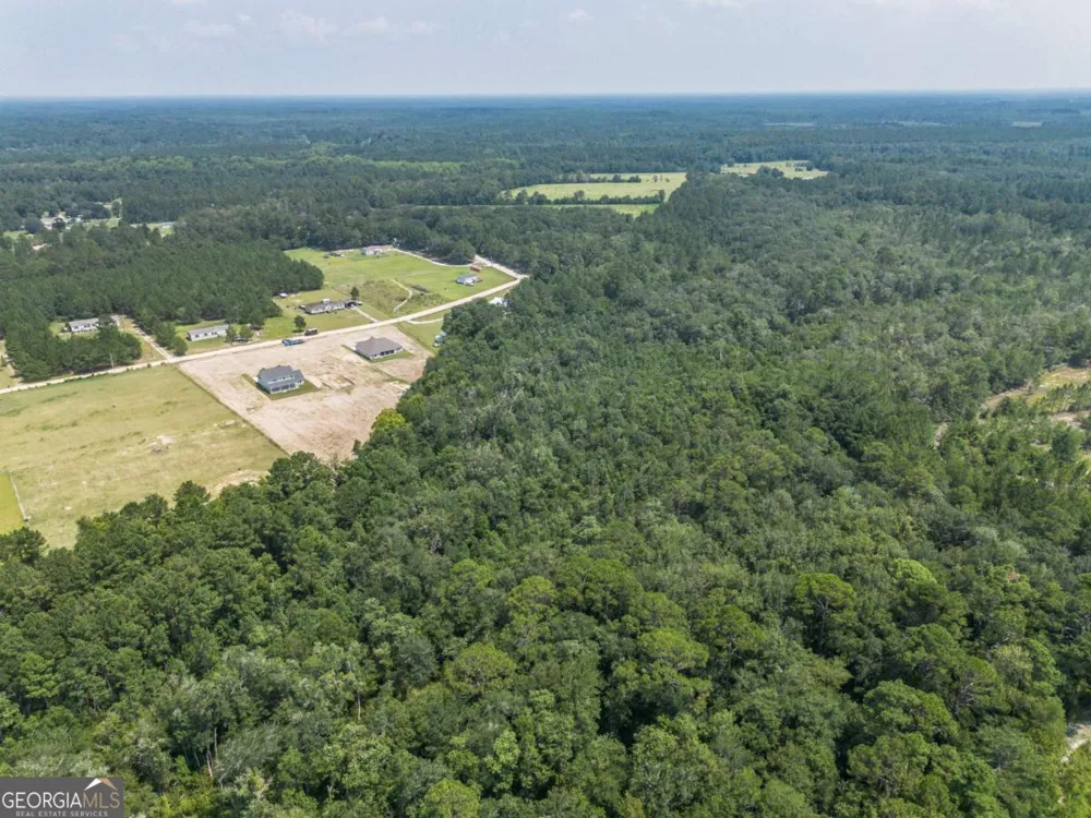 523 S T Morris RD NE Ludowici, GA 31316