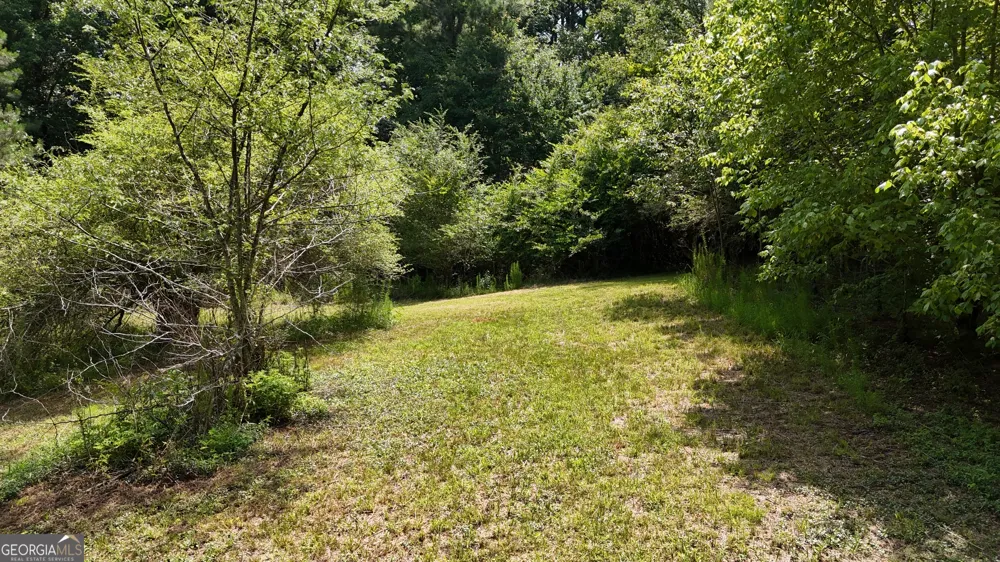 3729 Duncan Bridge RD Cornelia, GA 30531