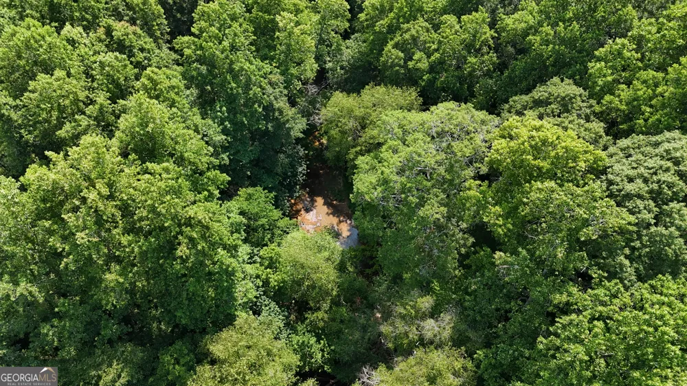 3729 Duncan Bridge RD Cornelia, GA 30531