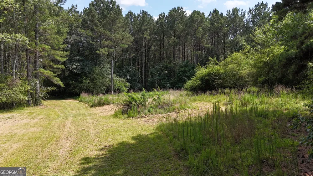 3729 Duncan Bridge RD Cornelia, GA 30531