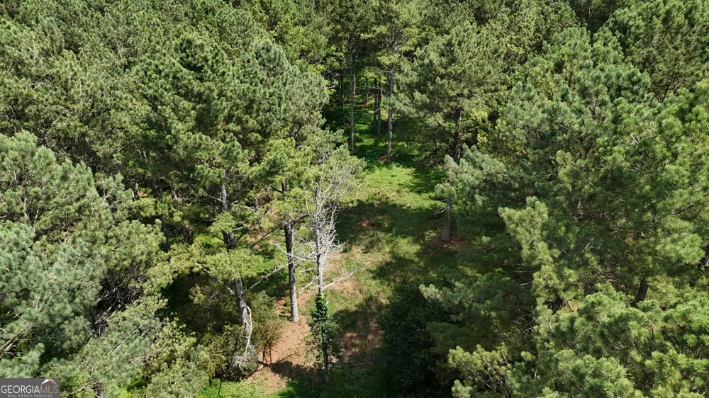 3729 Duncan Bridge RD Cornelia, GA 30531