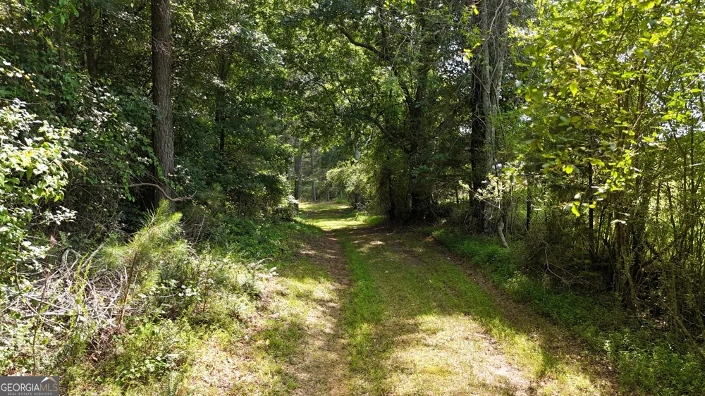 3729 Duncan Bridge RD Cornelia, GA 30531