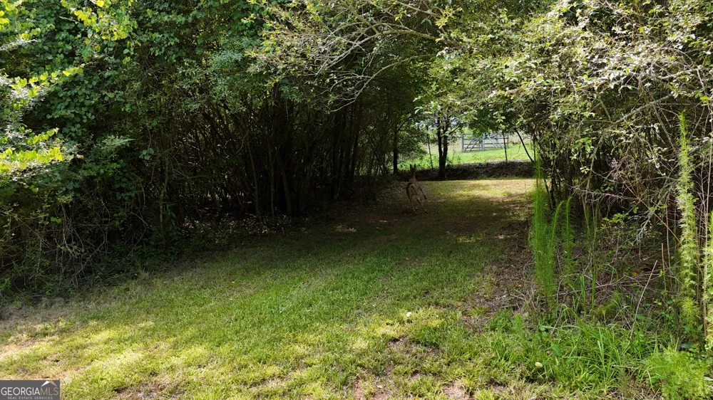 3729 Duncan Bridge RD Cornelia, GA 30531