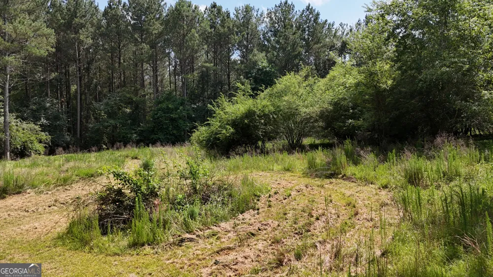3729 Duncan Bridge RD Cornelia, GA 30531