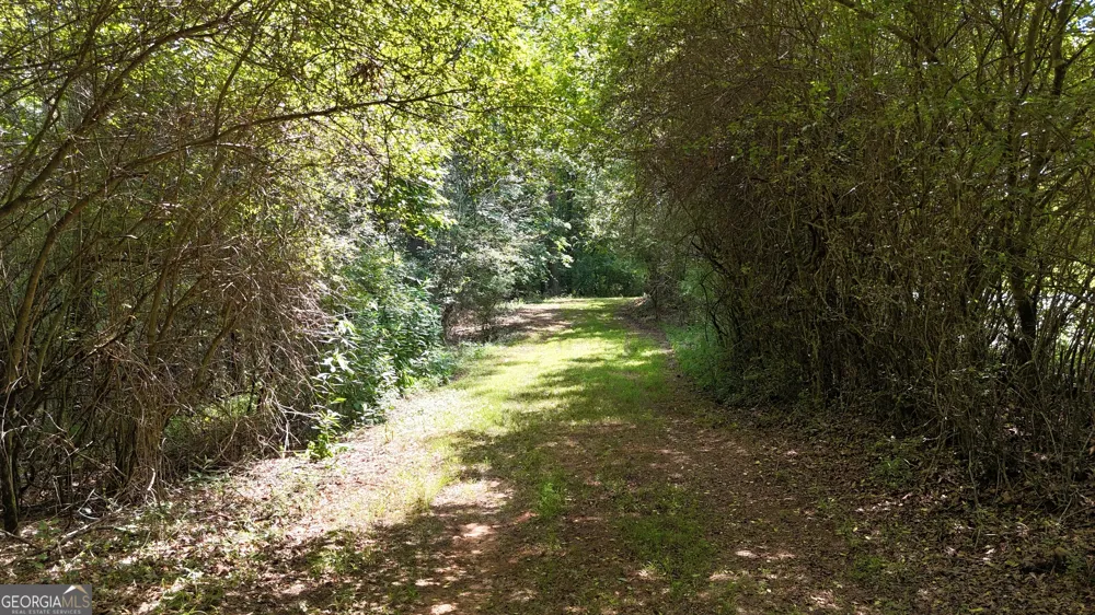 3729 Duncan Bridge RD Cornelia, GA 30531