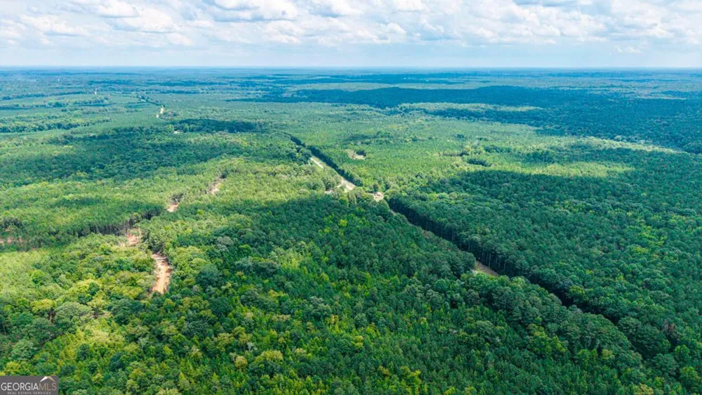 0 Penfield RD Union Point, GA 30669