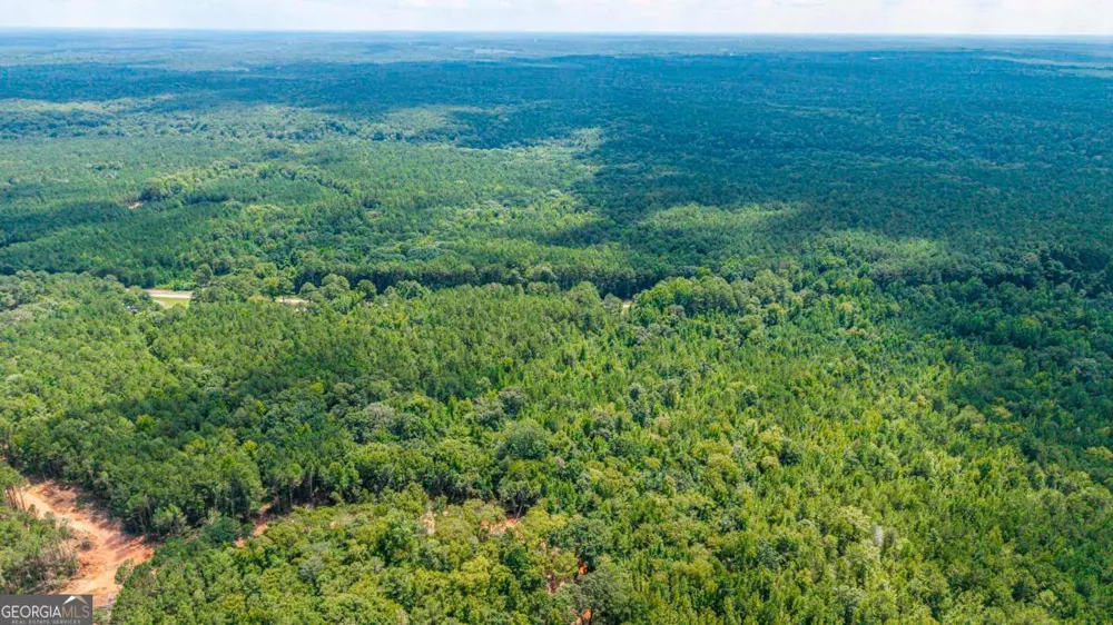 0 Penfield RD Union Point, GA 30669