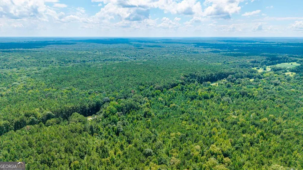 0 Penfield RD Union Point, GA 30669
