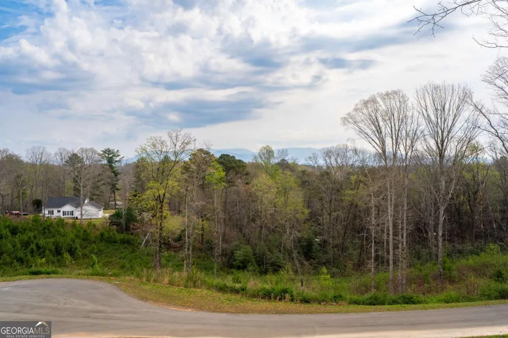 251 Mystic DR Ellijay, GA 30540