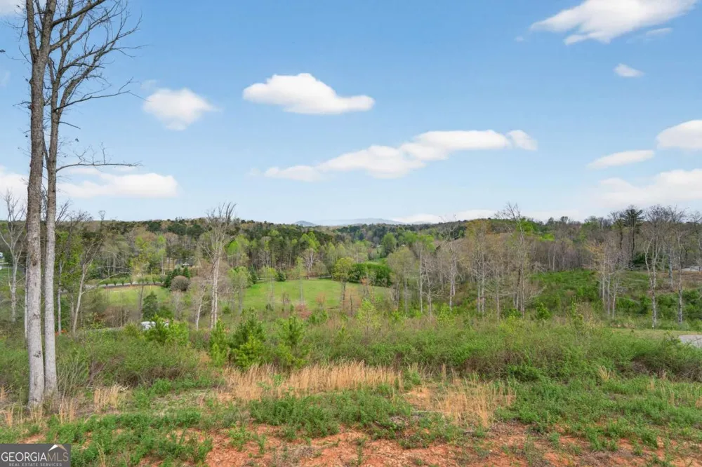 251 Mystic DR Ellijay, GA 30540