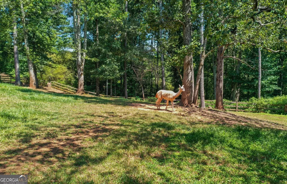 3204 Reavis Mountain RD Ball Ground, GA 30107