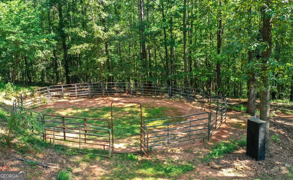 3204 Reavis Mountain RD Ball Ground, GA 30107