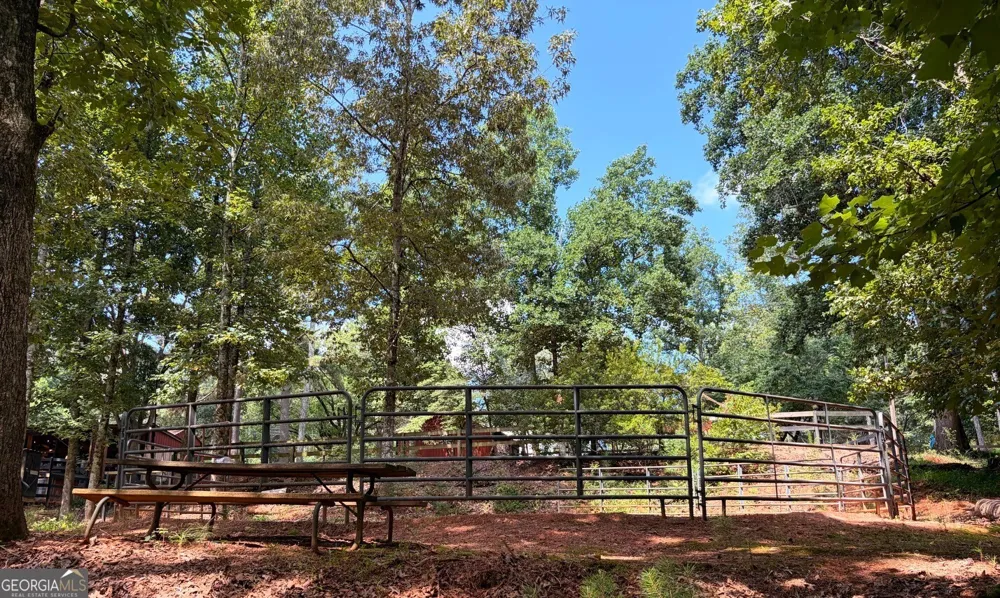 3204 Reavis Mountain RD Ball Ground, GA 30107