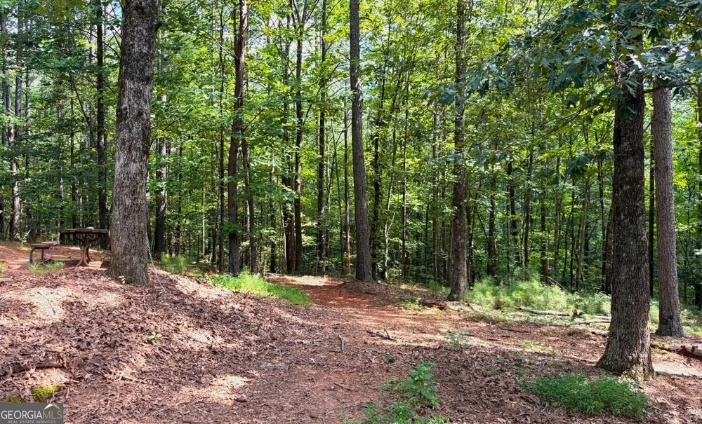 3204 Reavis Mountain RD Ball Ground, GA 30107