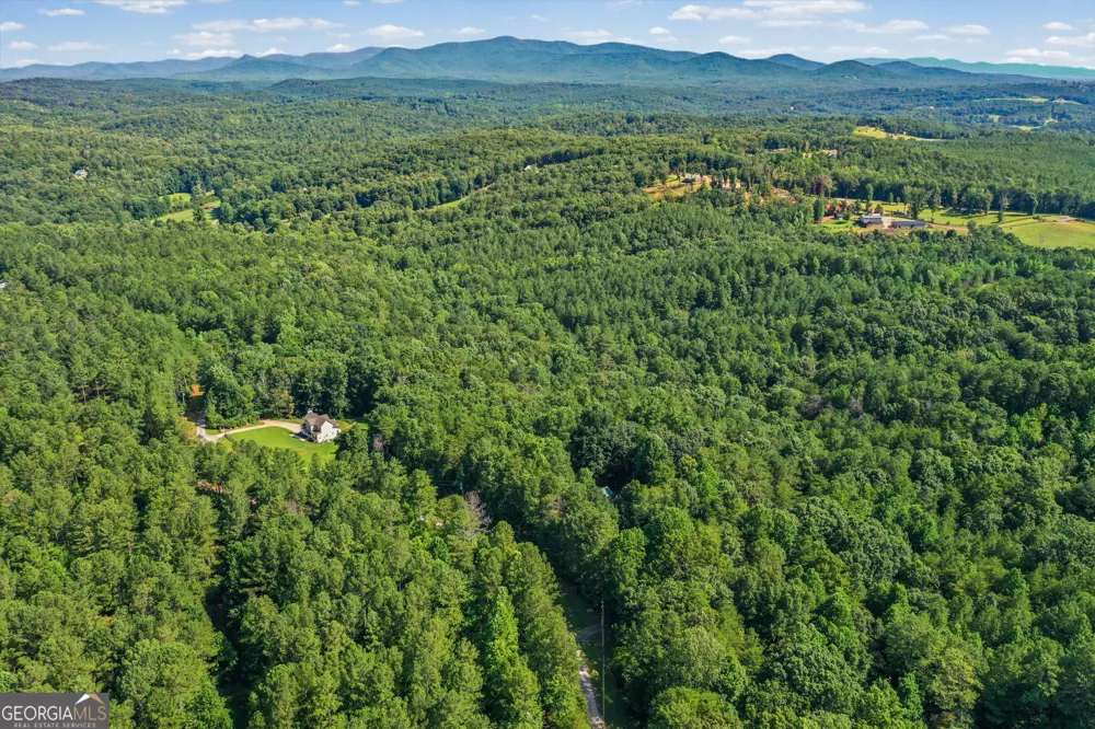 3204 Reavis Mountain RD Ball Ground, GA 30107