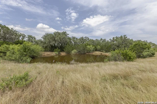 1628 COUNTY ROAD 357 Utopia, TX 78884