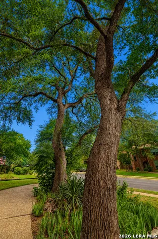 13107 Winding Creek San Antonio, TX 78231