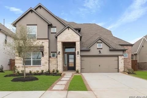 530 Canyon Live Oak
