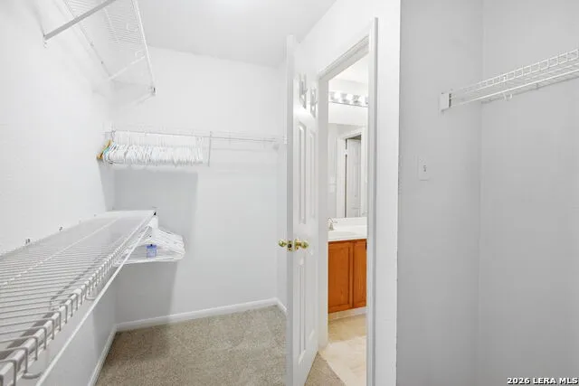 8631 Branch Hollow Universal City, TX 78148