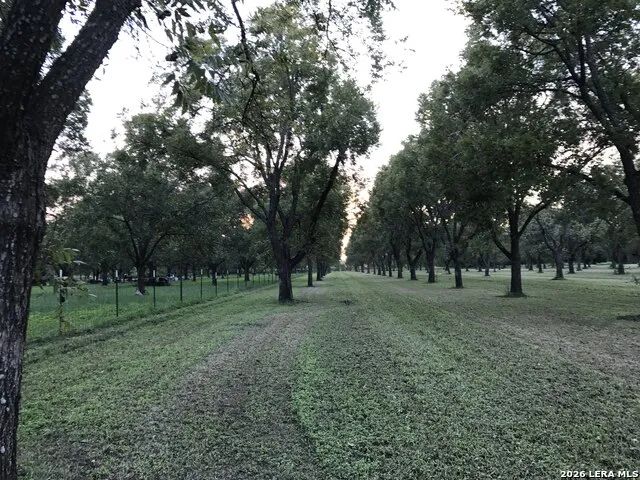 TBD May Road Quemado, TX 78877