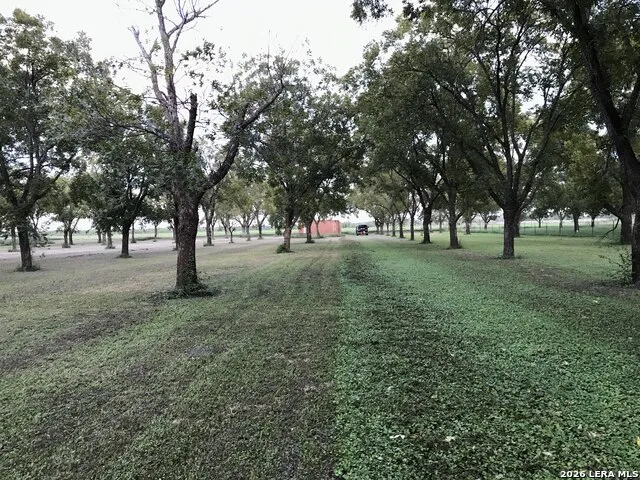 TBD May Road Quemado, TX 78877