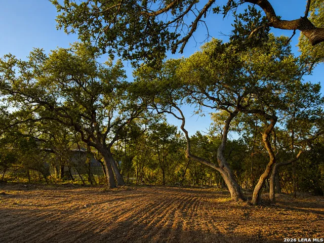 335 SERENITY PASS Spring Branch, TX 78070