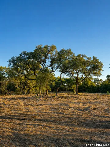 335 SERENITY PASS Spring Branch, TX 78070