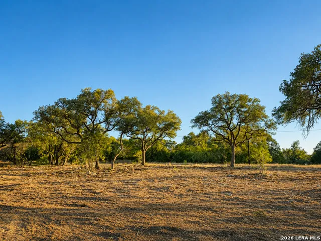 335 SERENITY PASS Spring Branch, TX 78070