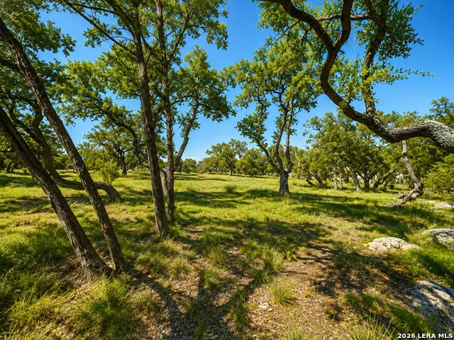 335 SERENITY PASS Spring Branch, TX 78070