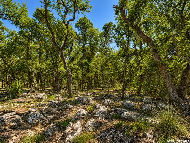 335 SERENITY PASS Spring Branch, TX 78070