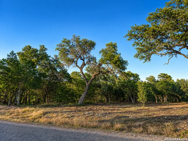 335 SERENITY PASS Spring Branch, TX 78070