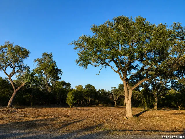 335 SERENITY PASS Spring Branch, TX 78070