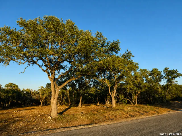 335 SERENITY PASS Spring Branch, TX 78070