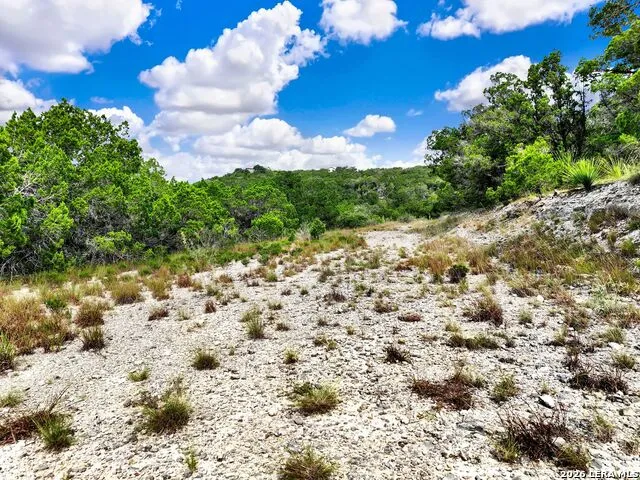 LOT 101 Pr 1712 Mico, TX 78056