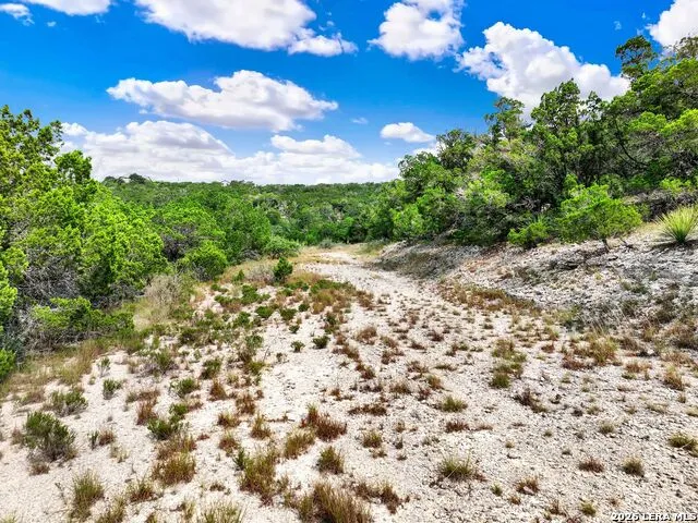 LOT 101 Pr 1712 Mico, TX 78056
