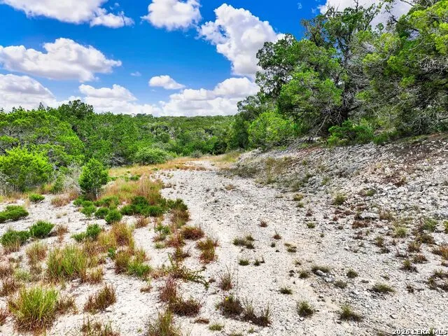 LOT 101 Pr 1712 Mico, TX 78056