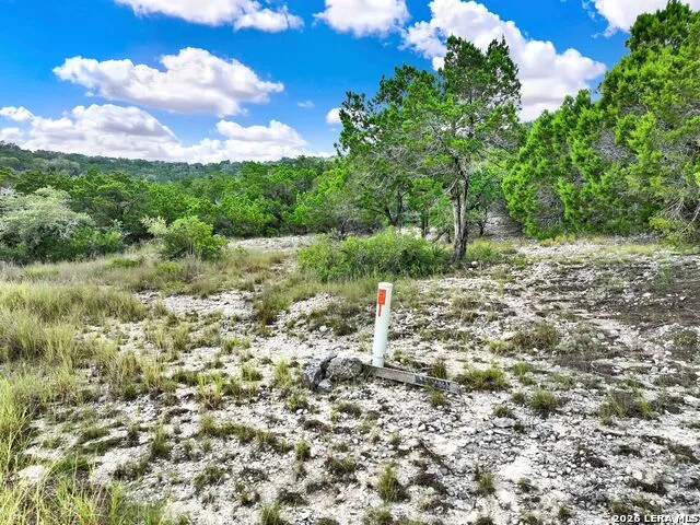 LOT 101 Pr 1712 Mico, TX 78056