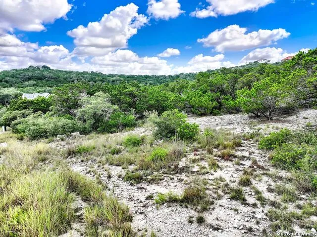 LOT 101 Pr 1712 Mico, TX 78056