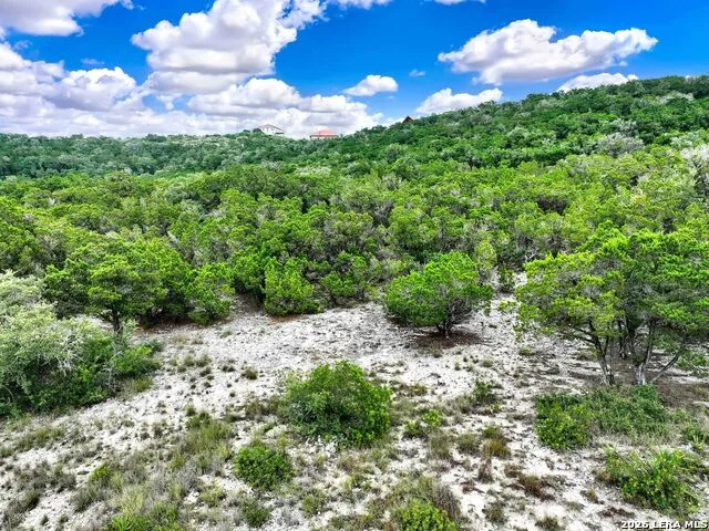 LOT 101 Pr 1712 Mico, TX 78056