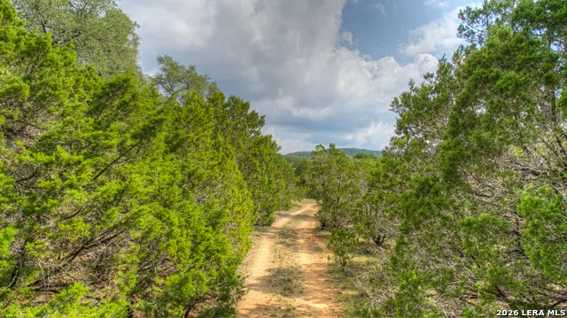 TRACT 8 Shellyholm Ranch Rd Fischer, TX 78623