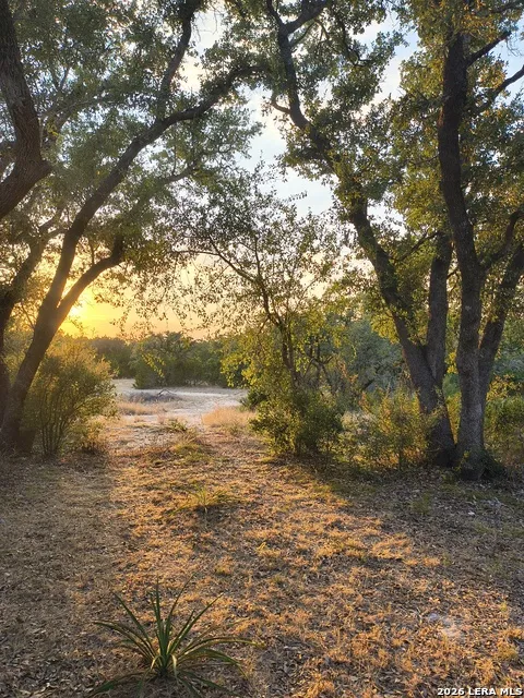 1263 Agaritaville Spring Branch, TX 78070