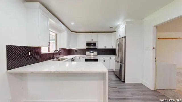 318 Renee Converse, TX 78109