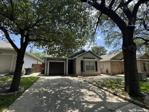 6030 Pecan Tree