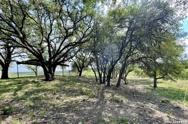 3259 Schumann Rd Stonewall, TX 78671