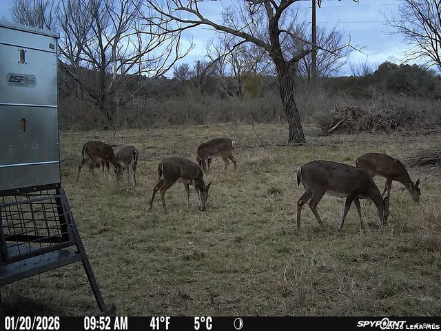3259 Schumann Rd Stonewall, TX 78671