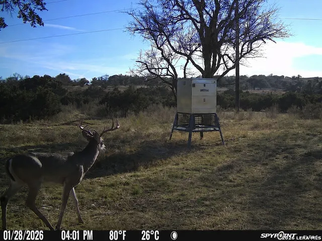 3259 Schumann Rd Stonewall, TX 78671