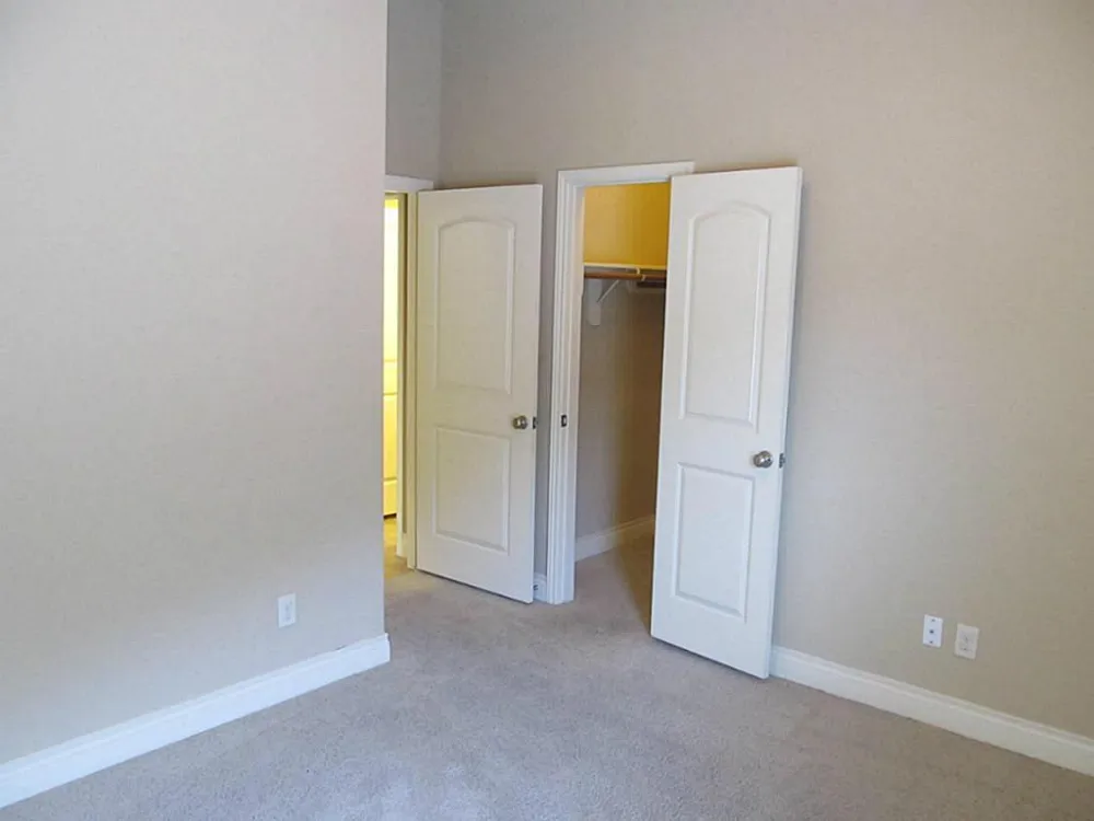 14104 Green Thicket Drive Pearland, TX 77584