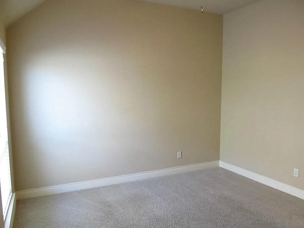 14104 Green Thicket Drive Pearland, TX 77584